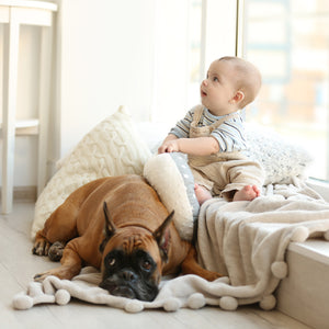 Introducing your dog to your baby