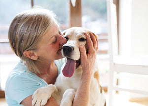Caring for your senior dog