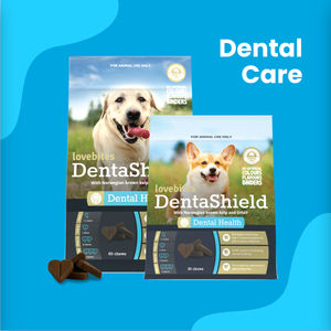 Dental Care for your Dog