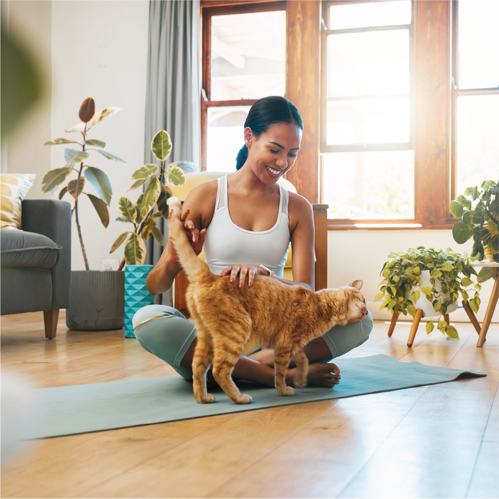 Owner and Her Cat on Yoga Mat