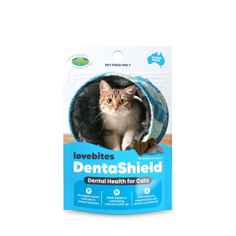 DentaShield - Dental Health for Cats