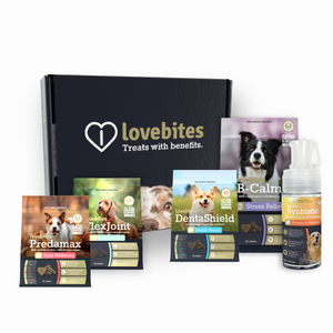 Stress Less Doggy Box - Lovebites Bundle
